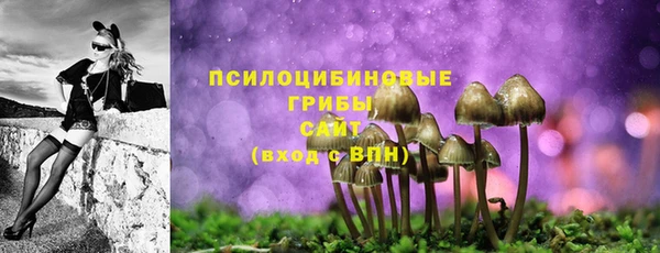 spice Алексин