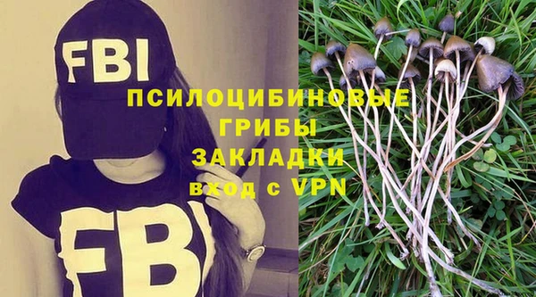 первитин Алексеевка